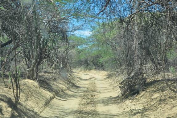 Início do labirinto de pequenas estradas que nos leva ao deserto no norte de La Guajira, na Colômbia